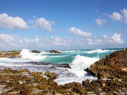 Cozumel Private Island Jeep Excursion with San Gervasio Mayan Ruins