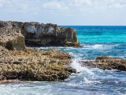 Cozumel Punta Sur jeep Trip Reviews