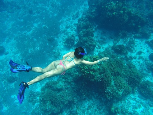 Cozumel Punta Sur Shore Excursion Reservations