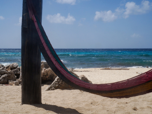 Cozumel Punta Sur Trip Reservations