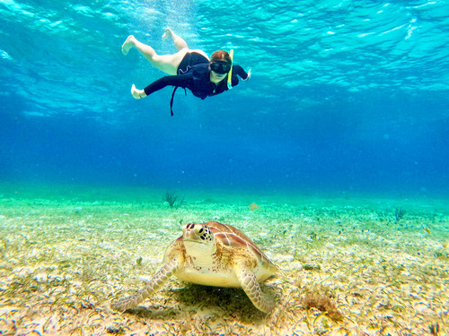 Cozumel Semi-Private Jeep Sightseeing with Snorkel by Boat Excursion