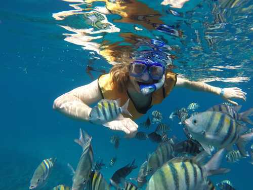 Cozumel Snorkel Gear Tour Tickets