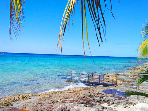 Cozumel Swimming Shore Excursion Reviews