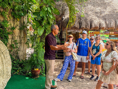 Cozumel Shopping Sightseeing Shore Excursion Reviews