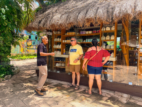 Cozumel Aviation Monument Sightseeing Shore Excursion Reviews