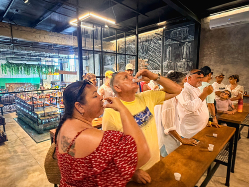 Cozumel Trolley Sightseeing Excursion