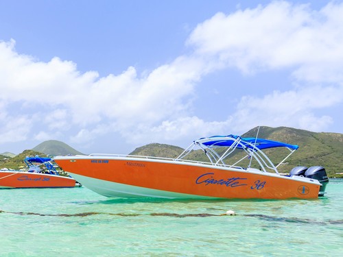 St. Maarten  Netherlands Antilles (St. Martin) snorkel Shore Excursion Cost