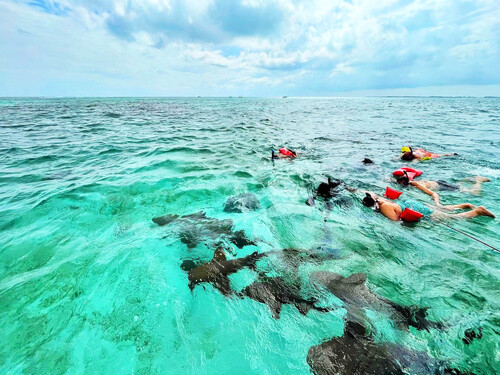 Belize City snorkeling at Shark Ray Alley Excursion Booking