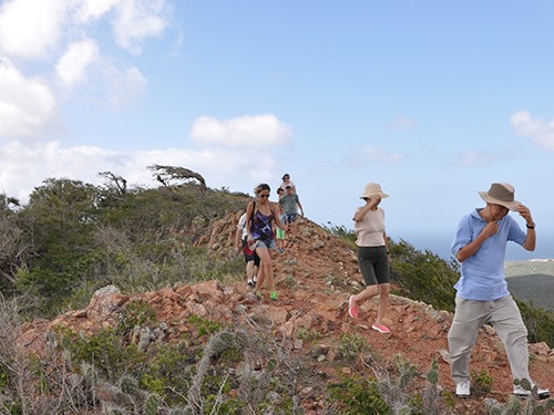 Curacao Willemstad 4x4 Off Road Sightseeing Tour Tickets