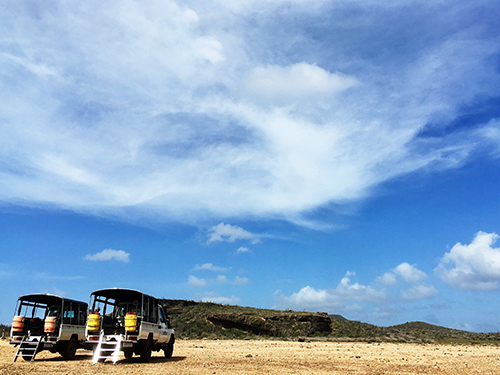 Curacao Willemstad Flora and Fauna Shore Excursion Booking