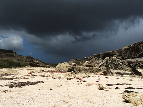 Curacao Willemstad Nature Cruise Excursion Cost