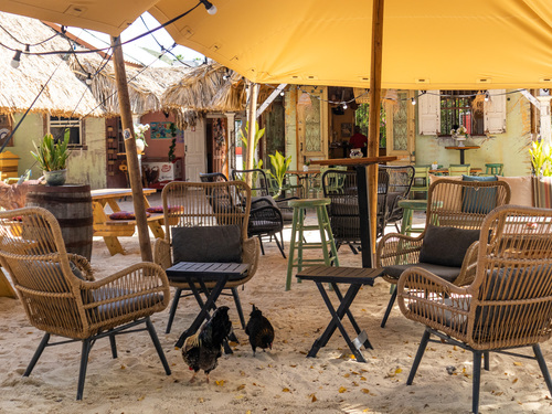 Curacao City Highlights and Island Sightseeing Excursion