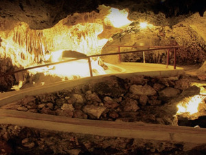 Curacao Coralmarine Isle and Traditional Cuisine Excursion