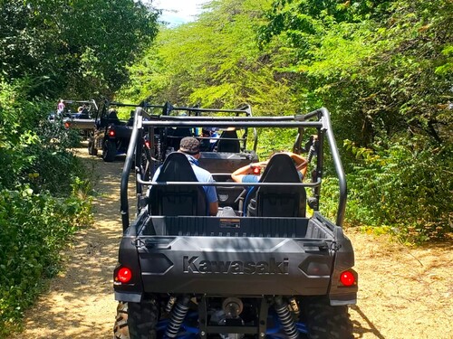 Curacao Willemstad atv Cruise Excursion Cost