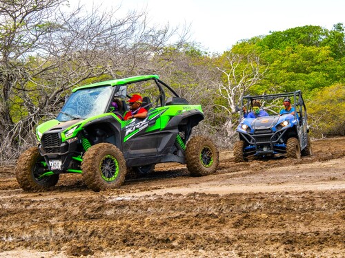 Curacao Willemstad buggy Tour Cost