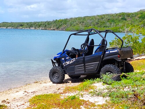 Curacao Willemstad buggy Cruise Excursion Prices
