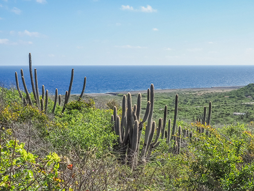 Curacao Family Sightseeing Tour Reservations