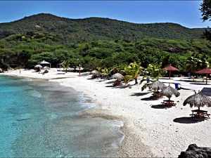 Curacao Flamingos, Boca Tabla Cave Park and Kenepa Beach Excursion
