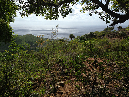 Curacao Willemstad Nature Shore Excursion Cost