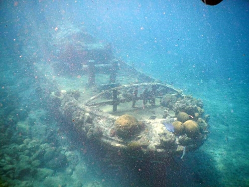 Curacao tugboat wreck snorkel Tour Cost