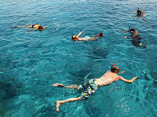 Curacao Willemstad Snorkel Sightseeing Tour Cost
