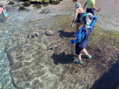 Curacao Nature and Wild Side Excursion