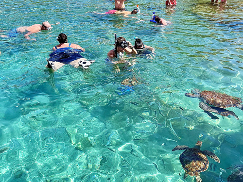 Curacao Nature and Wild Side Excursion