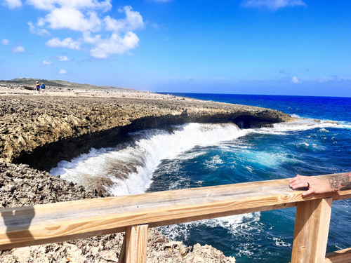 Curacao Nature and Wild Side Excursion