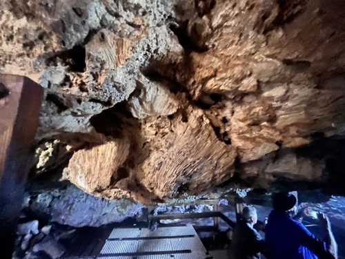 Curacao Nature and Wild Side Excursion