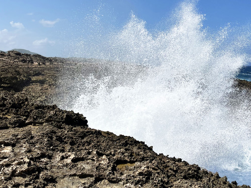 Curacao Nature and Wild Side Excursion