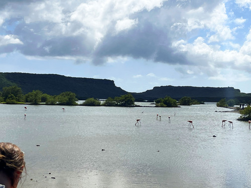 Curacao Nature and Wild Side Excursion