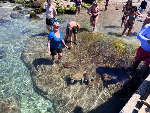 Curacao Nature and Wild Side Excursion