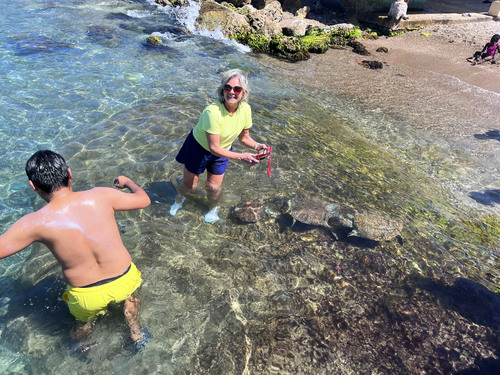 Curacao Nature and Wild Side Excursion
