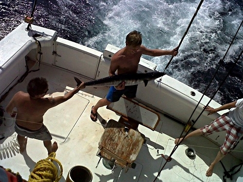 Curacao private fishing charter Trip Reviews