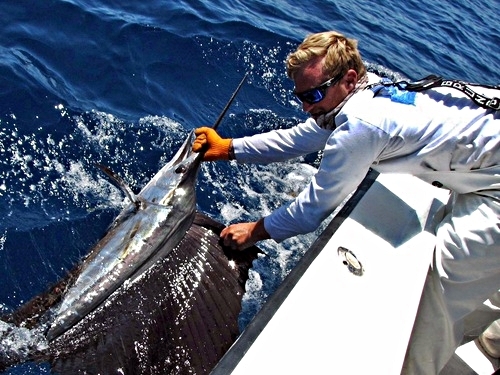 Curacao Willemstad deep sea fishing Cruise Excursion Tickets