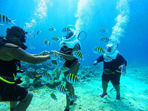 Curacao Sea Trek Helmet Dive Underwater Walk Excursion