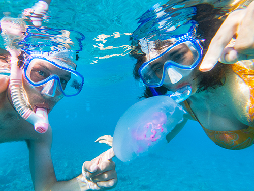 Curacao  Willemstad Turtle Bay Tour Reviews