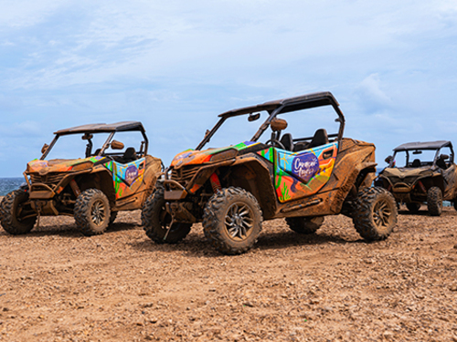 Curacao UTV West Coast Adventure Excursion