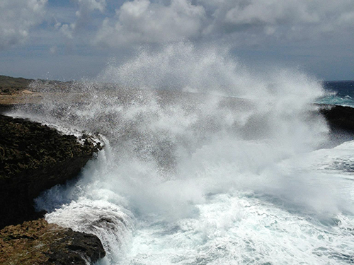 Curacao Willemstad Family Cruise Excursion Booking