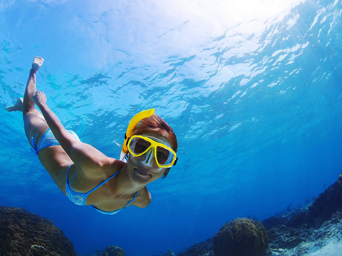 Curacao Snorkel Sightseeing Excursion Tickets