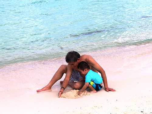 Cozumel isla pasion Tour Tickets