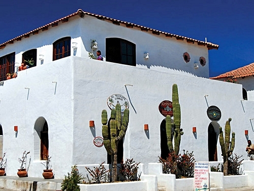 Cabo San Lucas  Mexico bilingual guide Cost