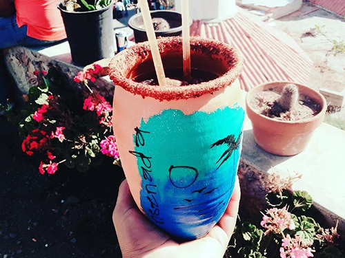 Ensenada  Mexico drinks Cruise Excursion Tickets