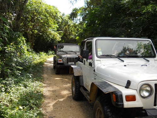 Belize jungle jeep Tour Booking