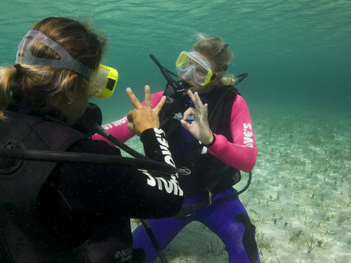 Nassau  Bahamas learn to dive Shore Excursion