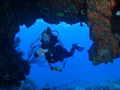 St Maarten scuba diving Trip Reviews