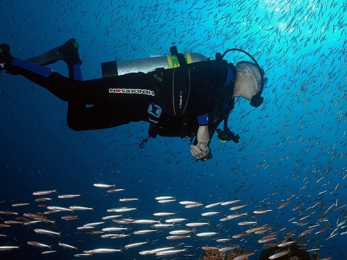 Ensenada beautiful reefs Reviews