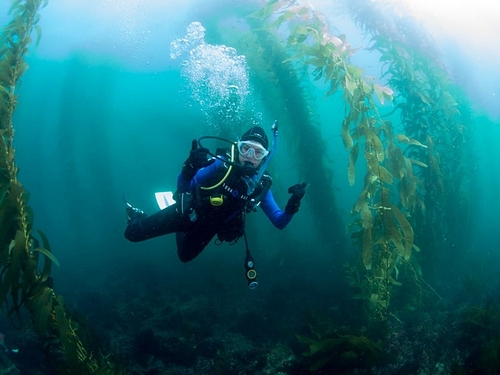 Ensenada lunch Shore Excursion