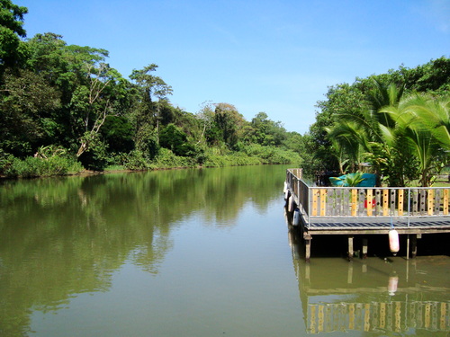 Puerto Limon Tortuguero Canal Shore Excursion Booking