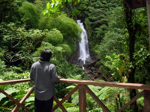 Dominica Natural Highlights Eco Excursion